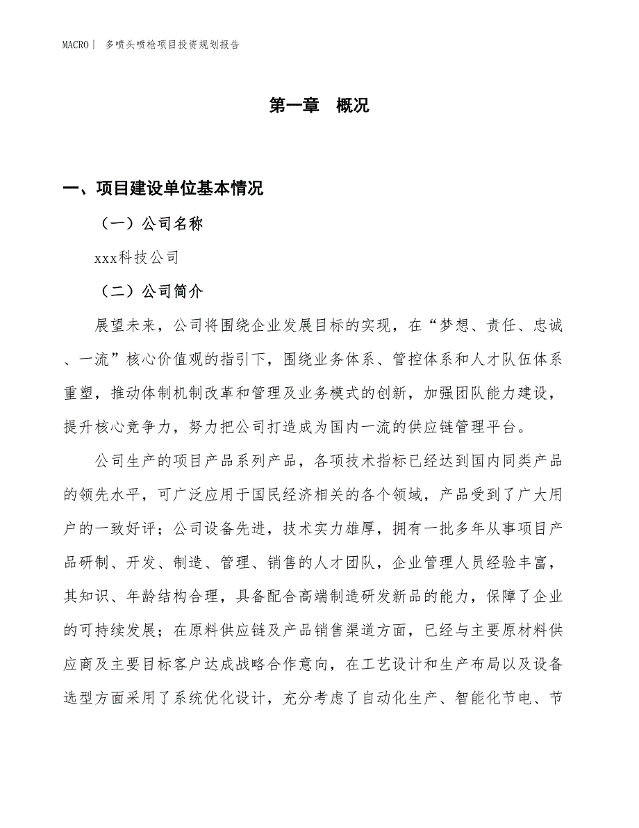 多喷头喷枪项目投资规划报告_第1页