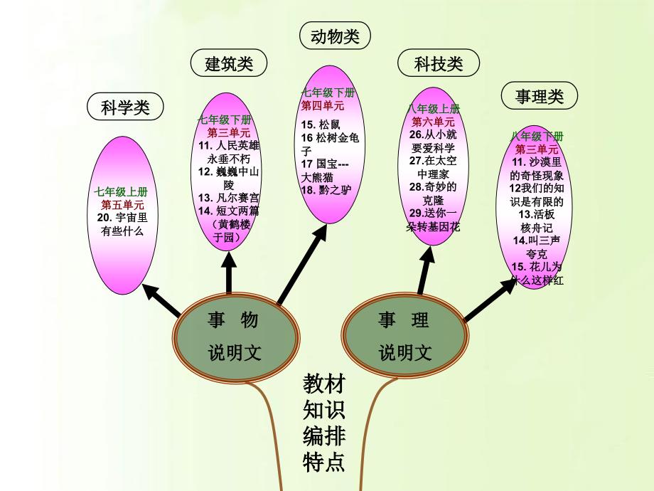 如何阅读一篇说明文树形结构-三门峡市二中 邢志慧.ppt_第4页