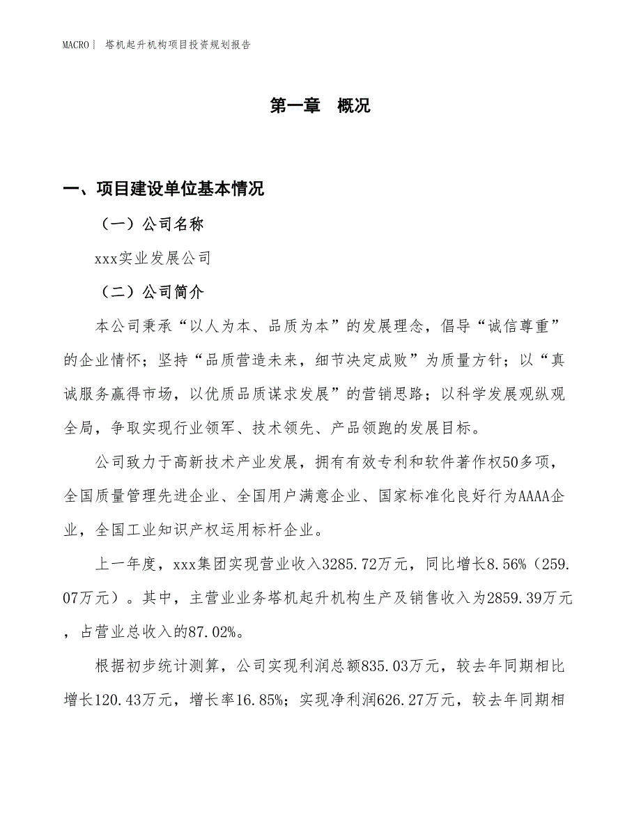 塔机起升机构项目投资规划报告_第1页