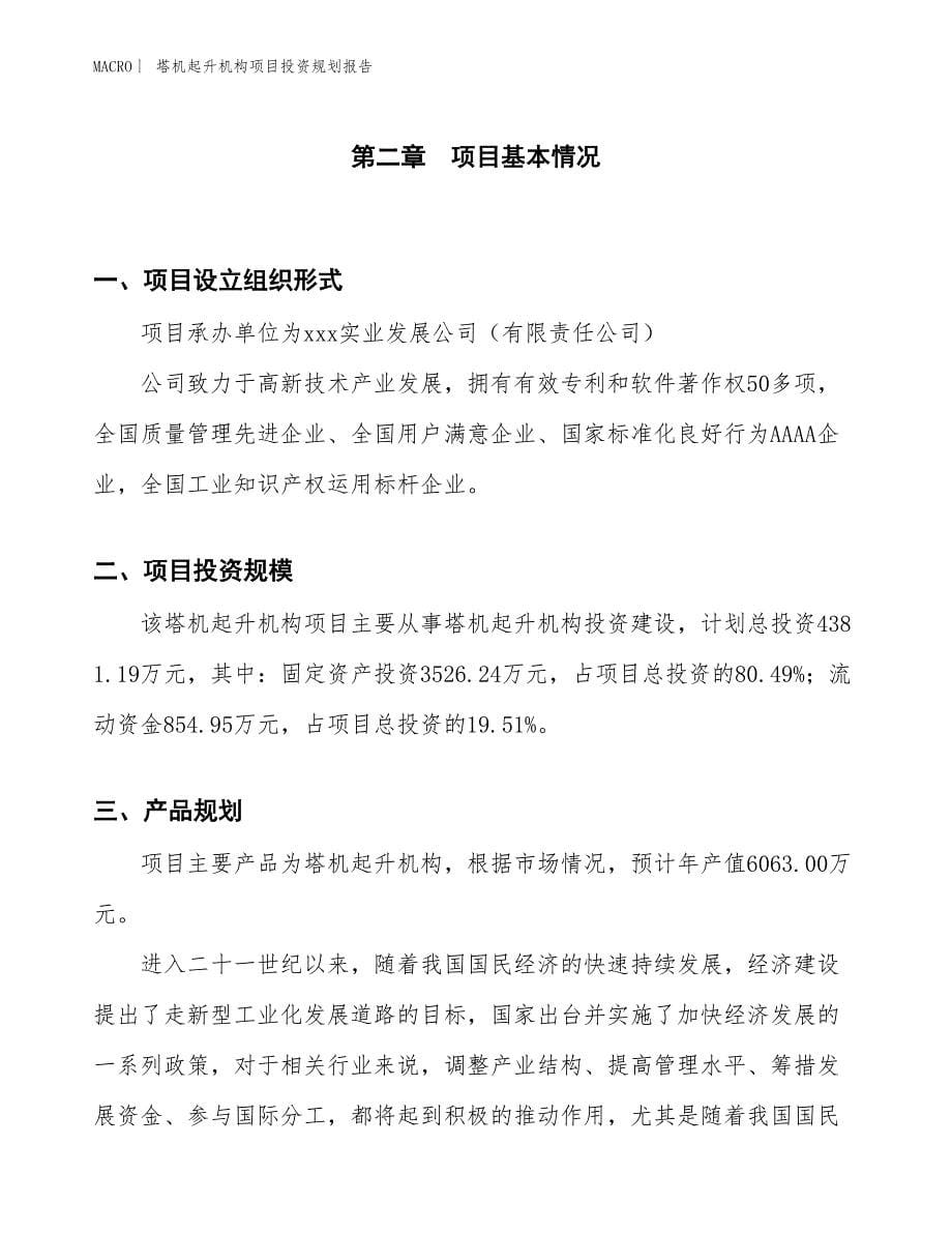 塔机起升机构项目投资规划报告_第5页