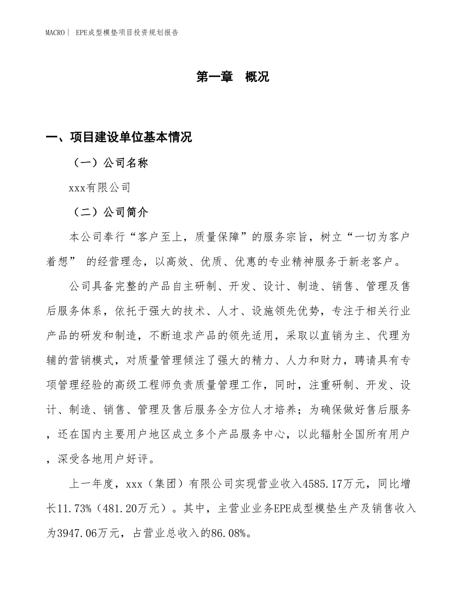 EPE成型模垫项目投资规划报告_第1页