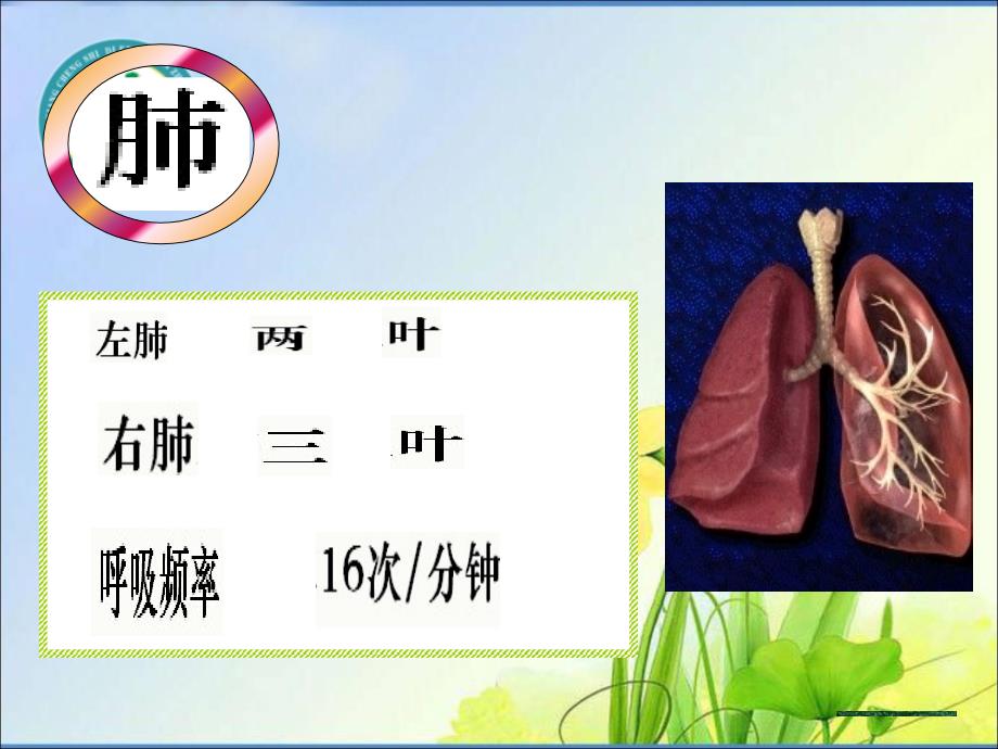 发生在肺内的气体交换_2_第3页