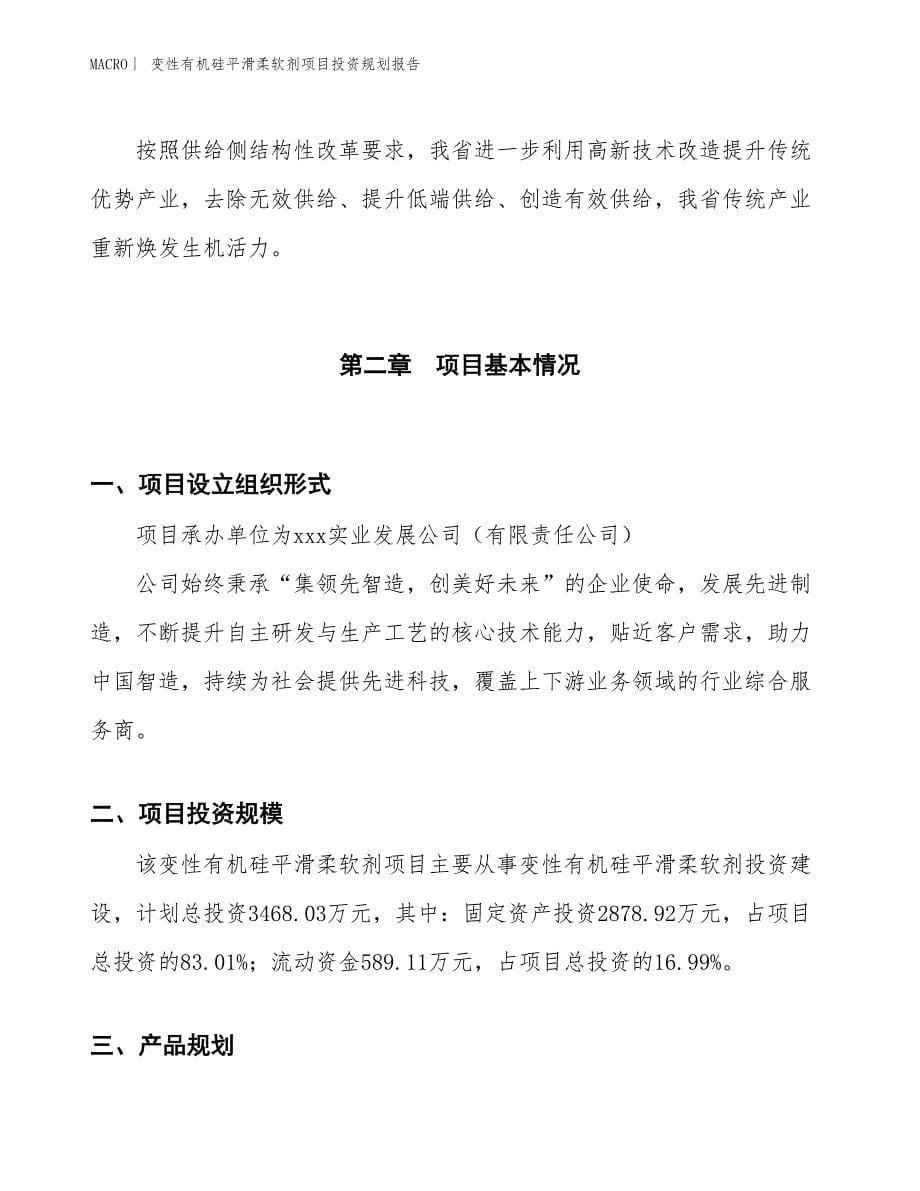 变性有机硅平滑柔软剂项目投资规划报告_第5页