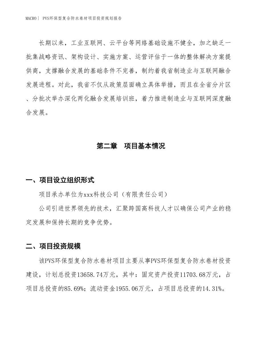 PVS环保型复合防水卷材项目投资规划报告_第5页