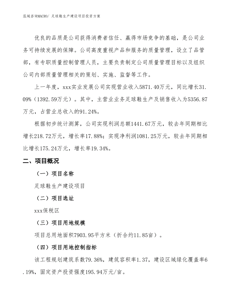 （项目申请）足球鞋生产建设项目投资方案_第2页