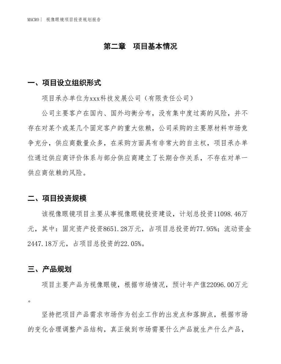 视像眼镜项目投资规划报告_第5页