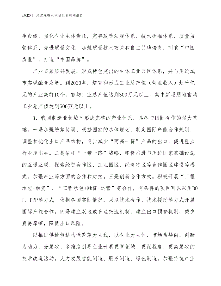 纯皮麻带尺项目投资规划报告_第4页