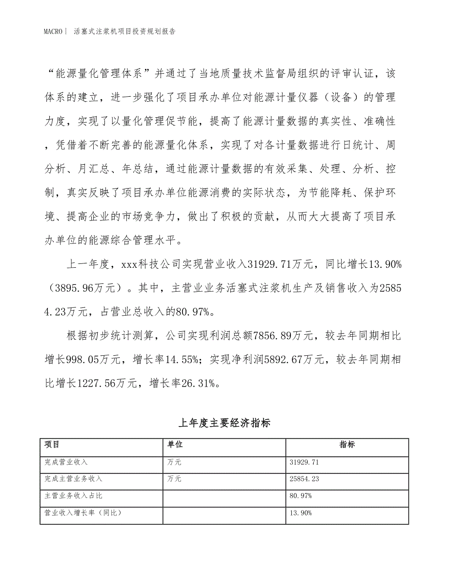 活塞式注浆机项目投资规划报告_第2页