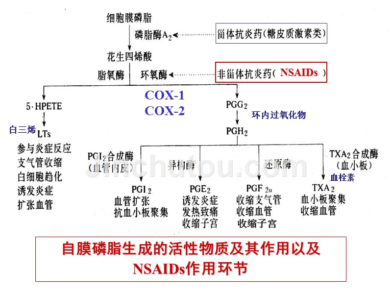 解热镇痛抗炎药_24_第2页