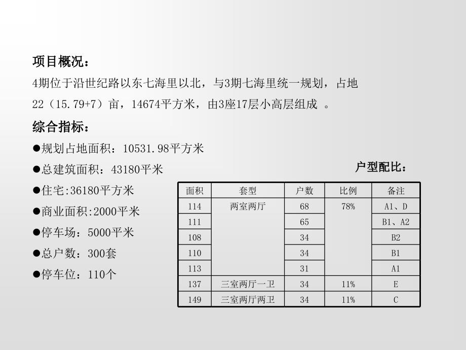 怡海世家四期—七海里全程推广思路_第2页