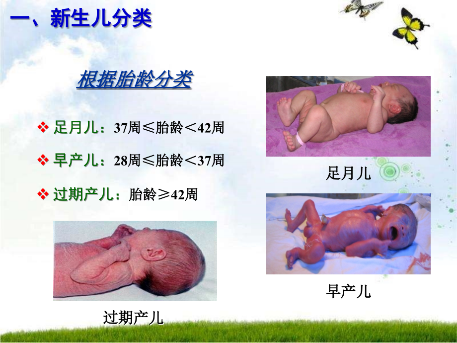 新生儿与新生儿患儿护理_第3页