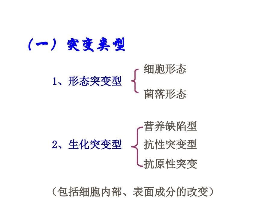 微生物遗传变异与菌种保藏（增加内容）_第5页