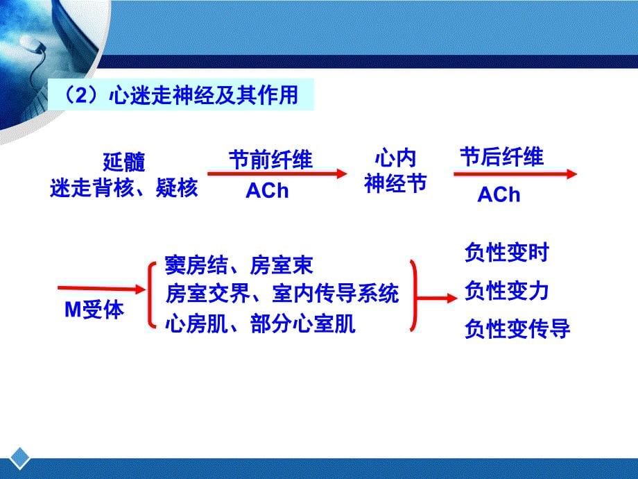 解剖生理学第四章4_第5页