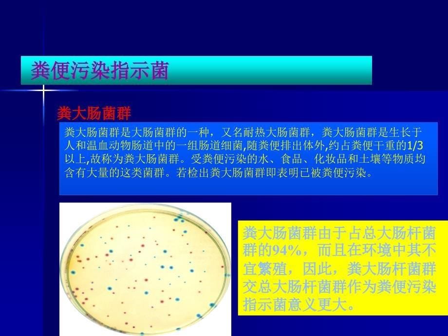 指示微生物_第5页