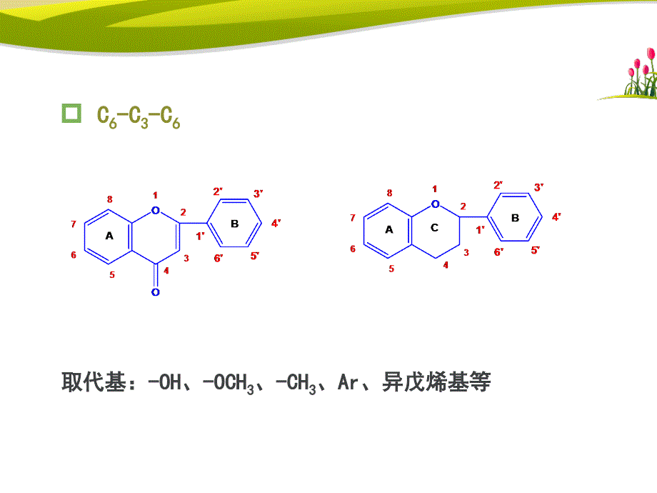 天然药物化学-第五章-黄酮类化合物-1_第3页