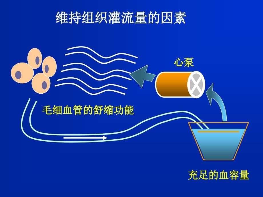 动物病理学10-休克_第5页