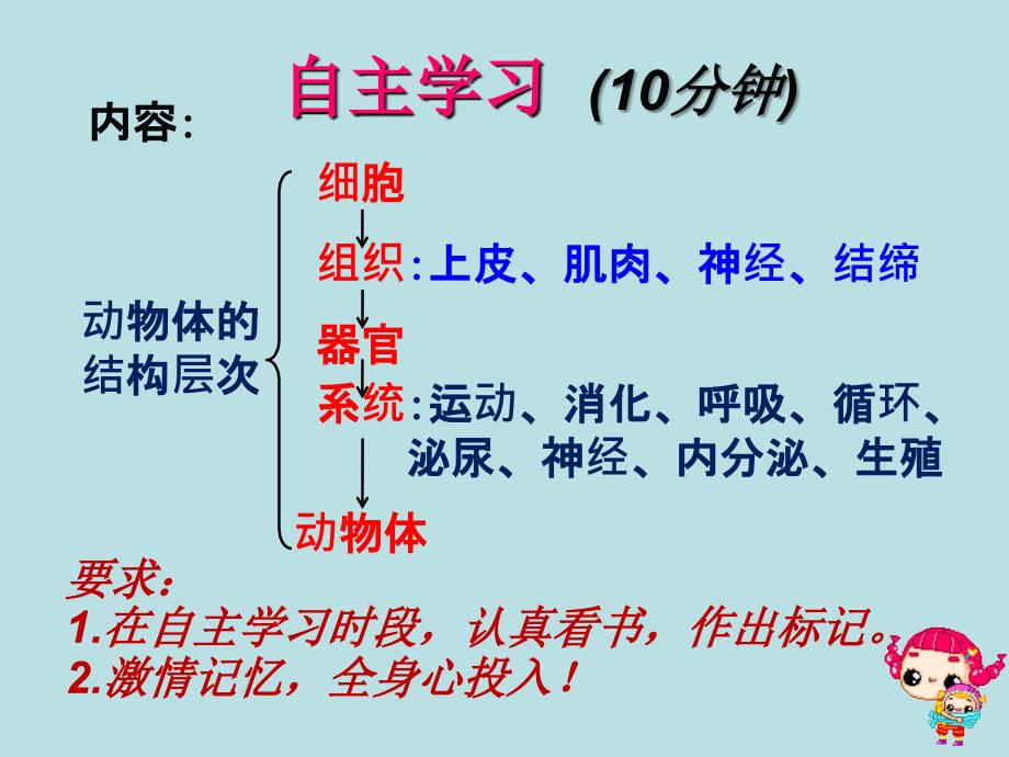 河北省平泉四海中学七年级生物上册2.2.2动物体的结构层次课件_第4页