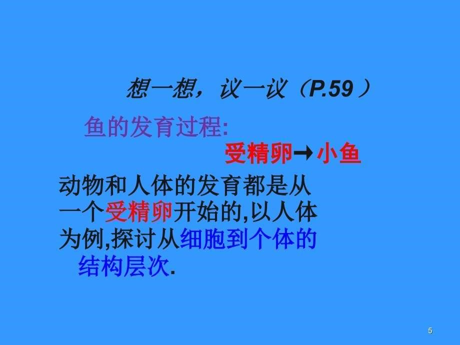 河北省平泉四海中学七年级生物上册2.2.2动物体的结构层次课件_第5页