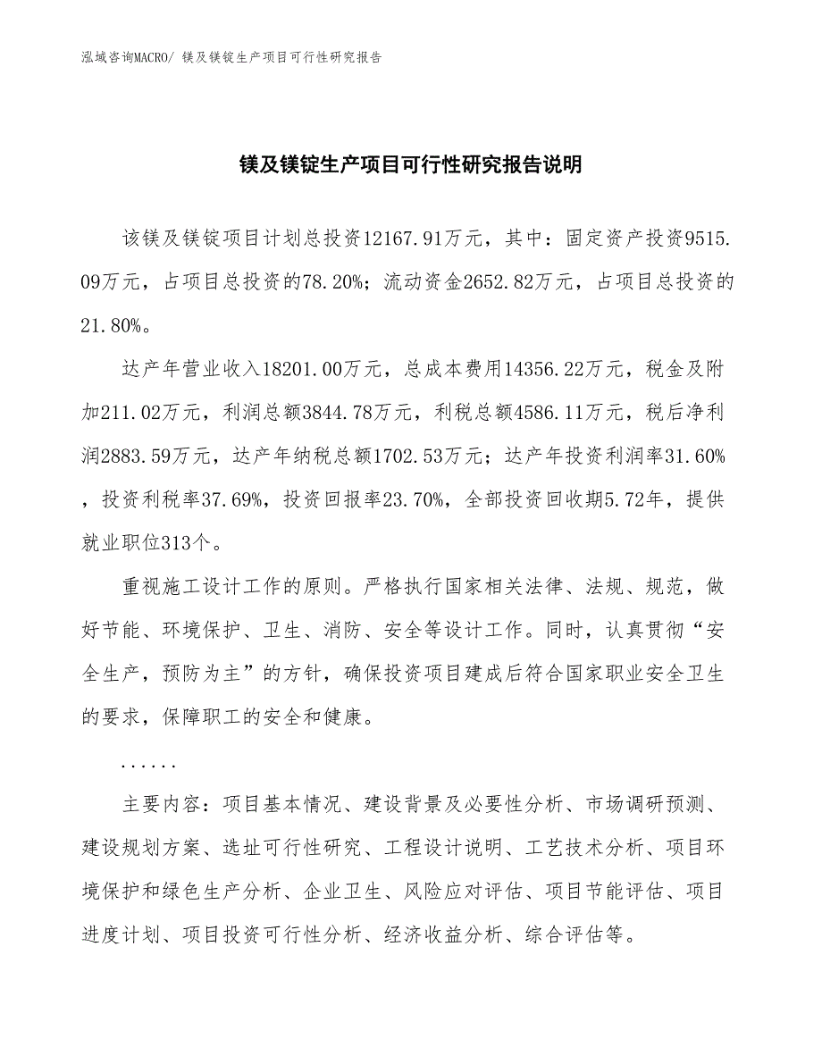 （规划设计）镁及镁锭生产项目可行性研究报告_第2页