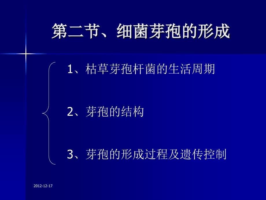 微生物生理学第十章课件-微生物的分化和发育_第5页