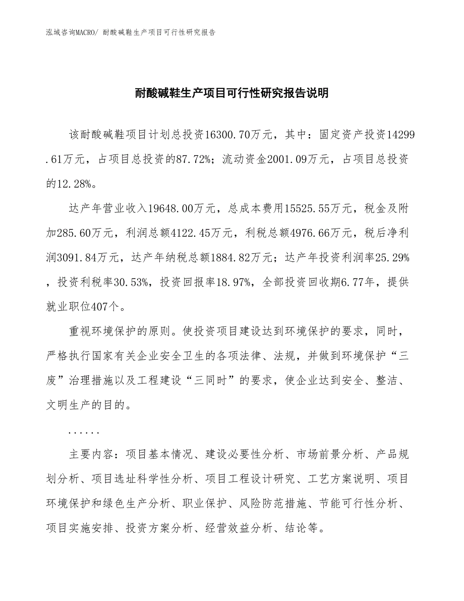 （汇报材料）耐酸碱鞋生产项目可行性研究报告_第2页