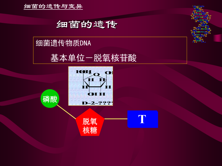 微生物遗传与变异 (2)_第4页