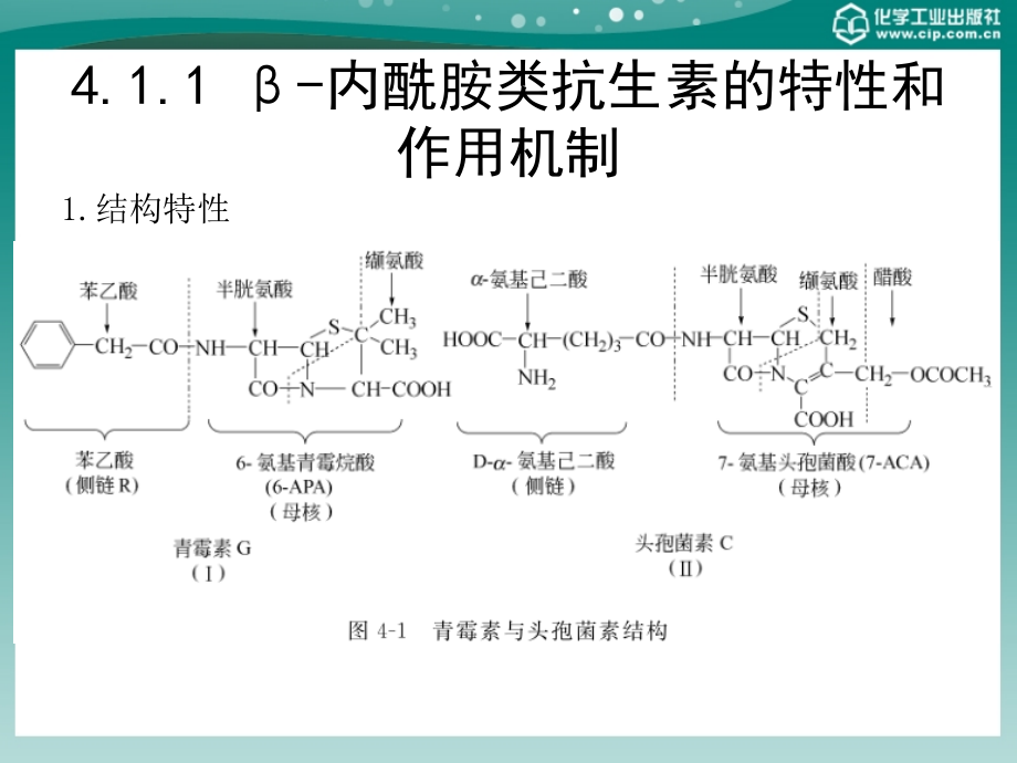 内酰胺类抗生素_17_第3页