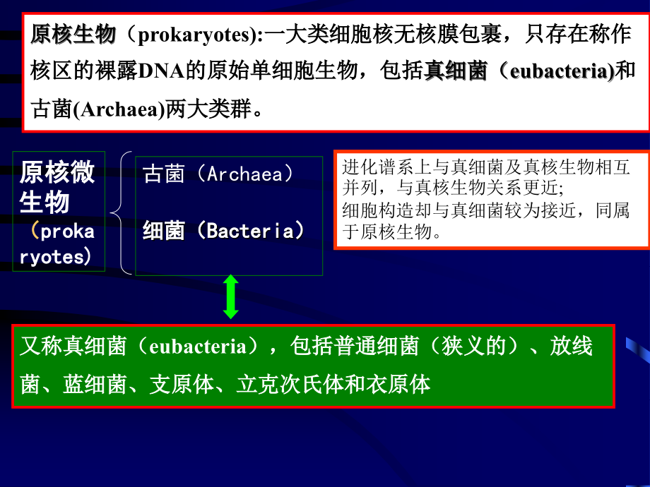 微生物课件第1章_第2页