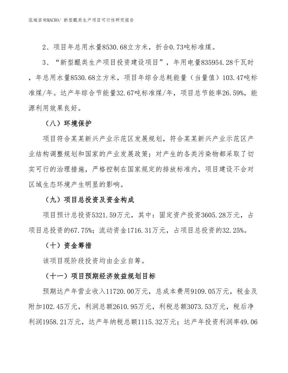 （投资方案）新型醌类生产项目可行性研究报告_第5页