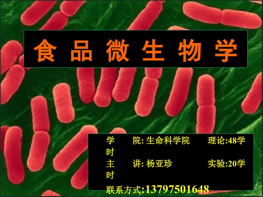 微生物学绪论 (2)_第1页