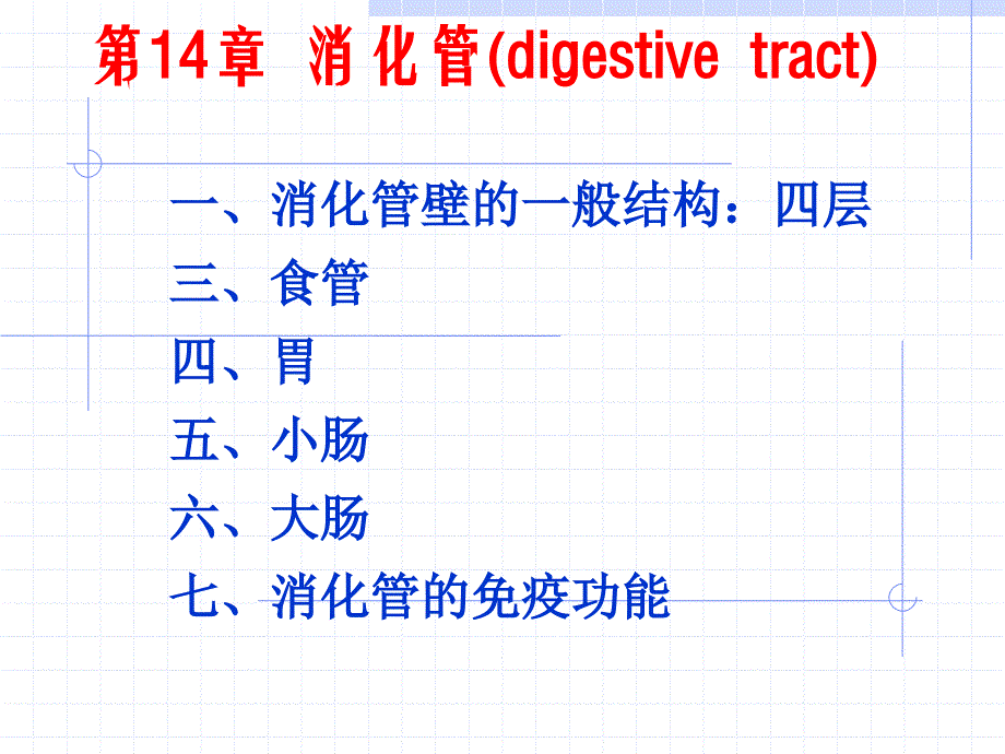 消化管组织学_第1页