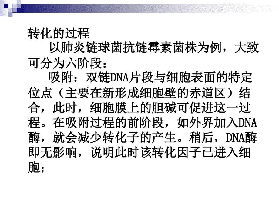 微生物的遗传、变异和菌种的选育、保藏(二)_第5页