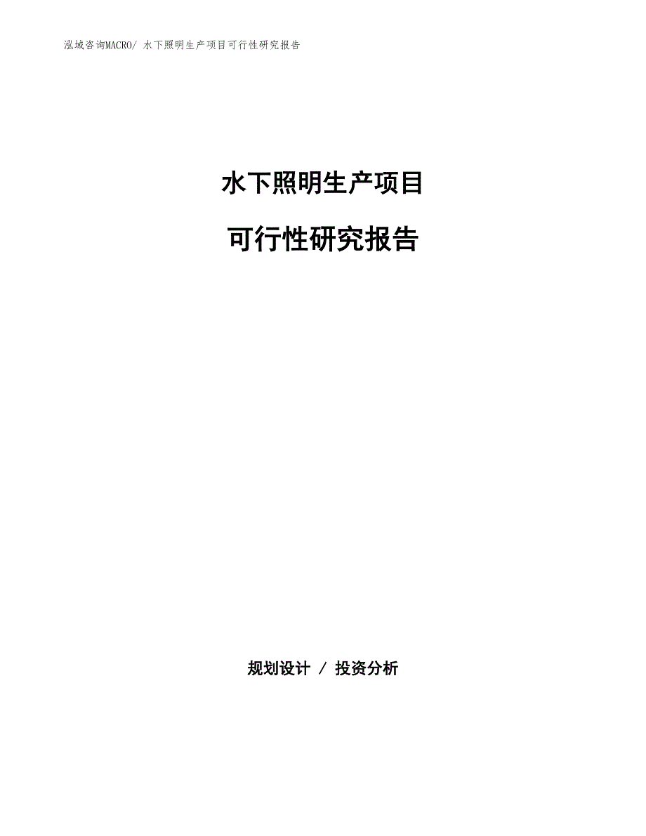 （汇报材料）水下照明生产项目可行性研究报告_第1页