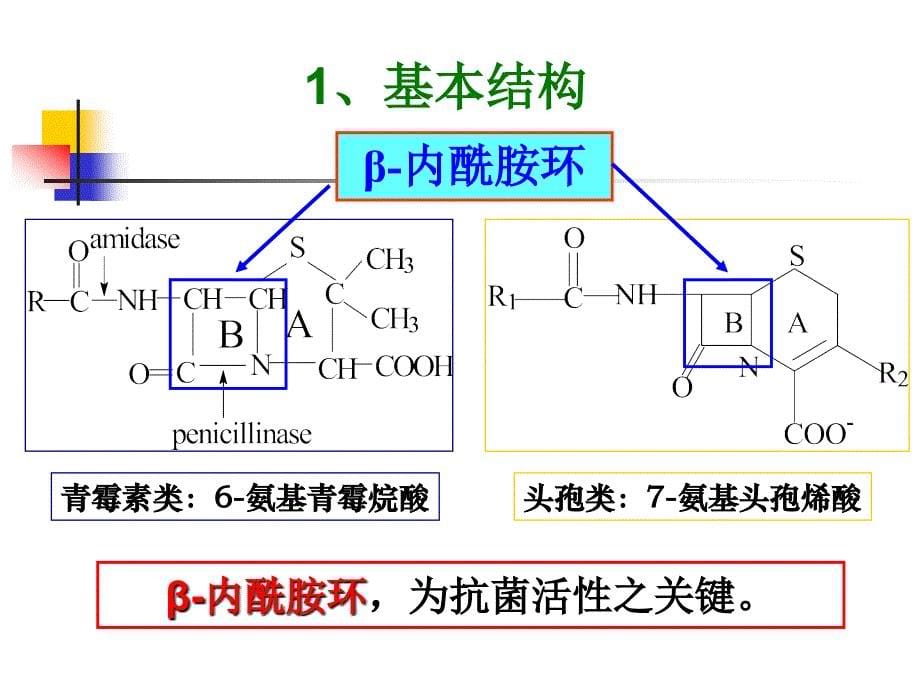 β-内酰胺类抗生素wyy5_第5页