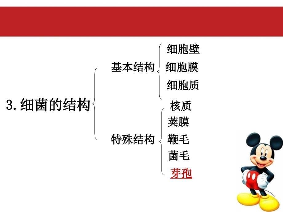 微生物知识及环境测试3_第5页