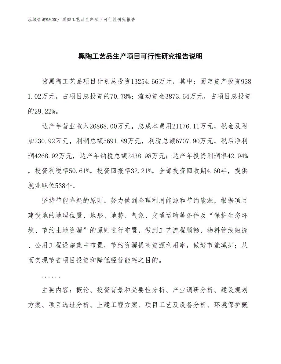 （建设方案）黑陶工艺品生产项目可行性研究报告_第2页