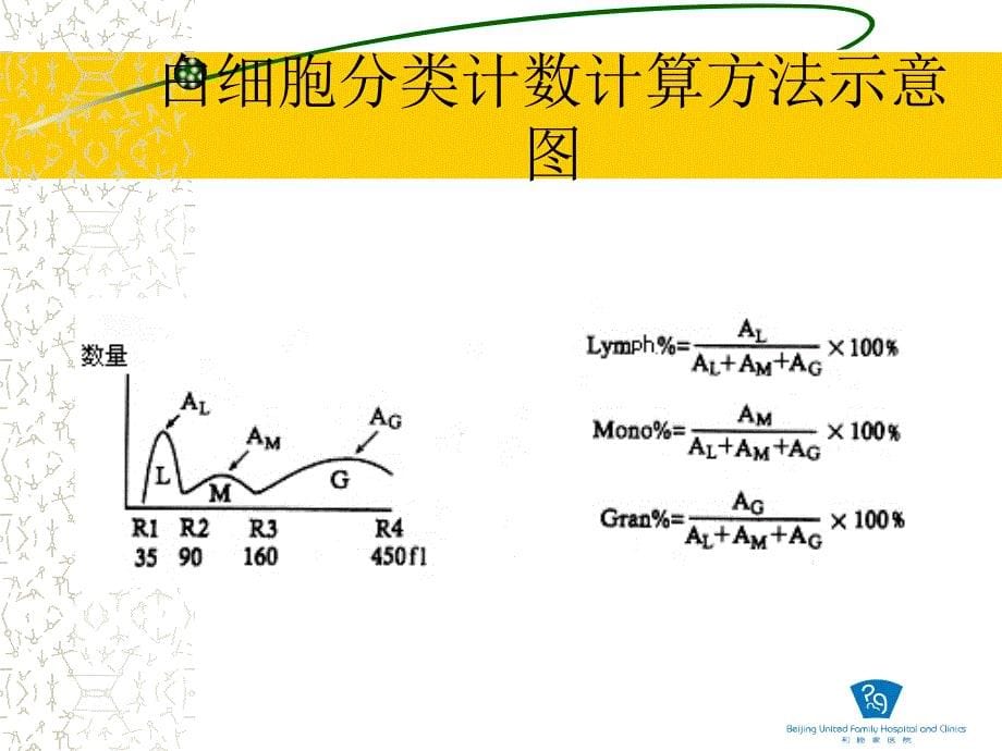 血细胞镜检规则的制定和应用(孙芾)_第5页