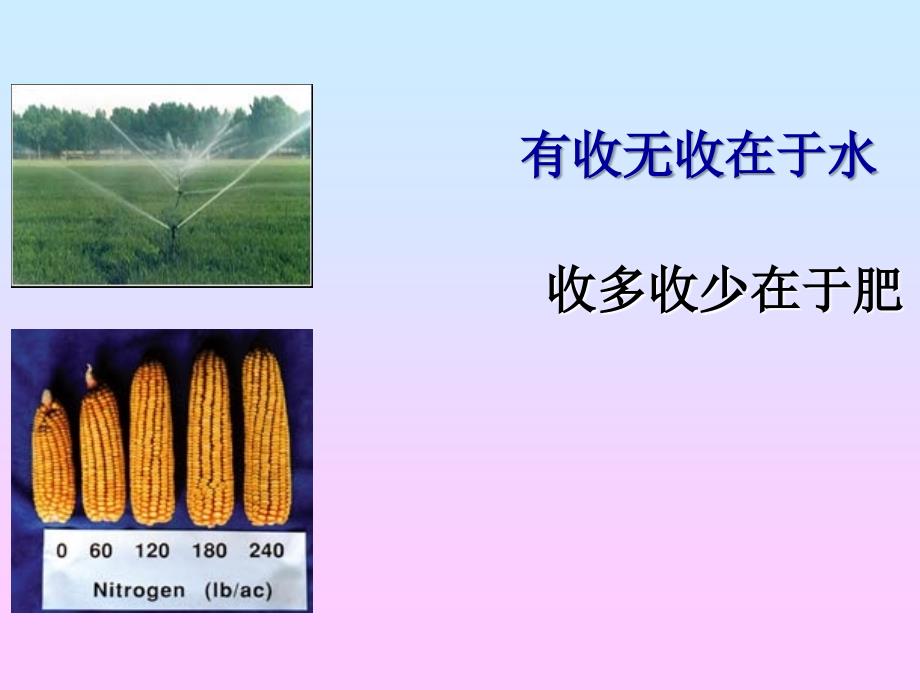 四川农业大学植物生理学课件第2章_第2页