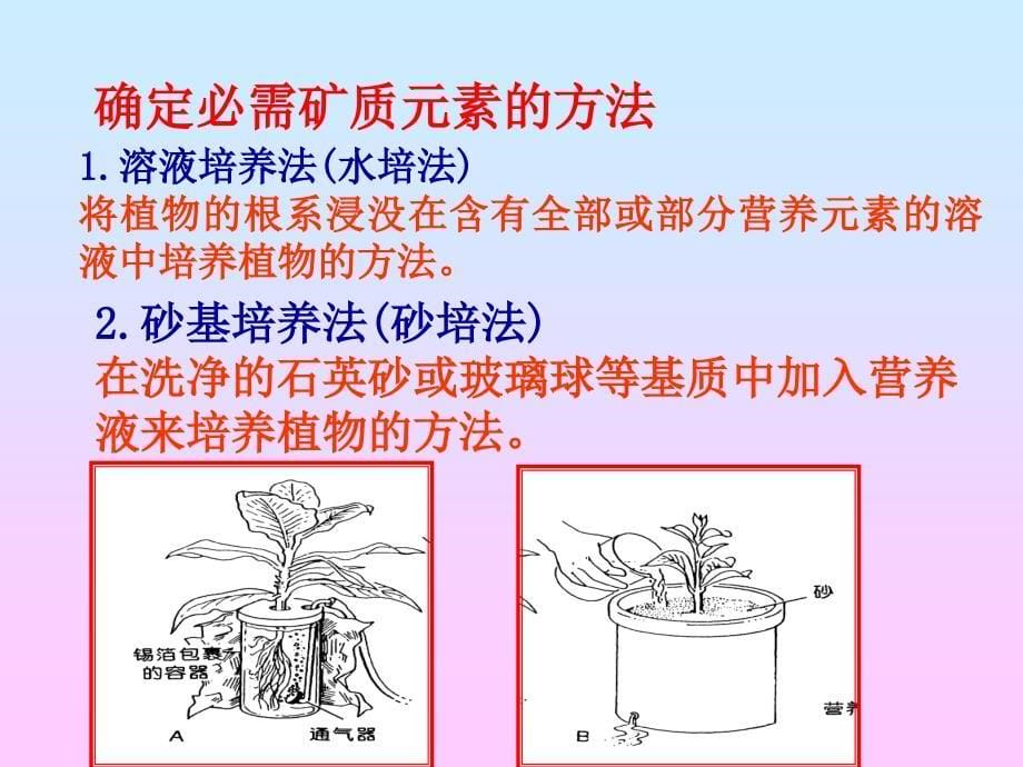 四川农业大学植物生理学课件第2章_第5页