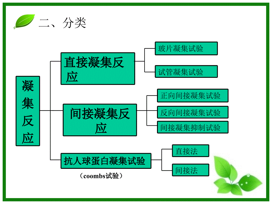 凝集反应课件(听课)_第3页