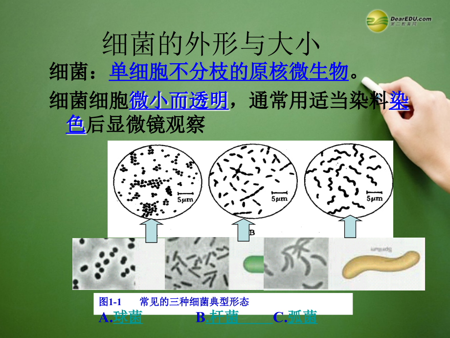 江苏省徐州市王杰中学2014高中生物-2.1《微生物的实验室培养》课件-新人教版选修1_第3页