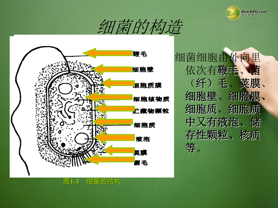 江苏省徐州市王杰中学2014高中生物-2.1《微生物的实验室培养》课件-新人教版选修1_第4页