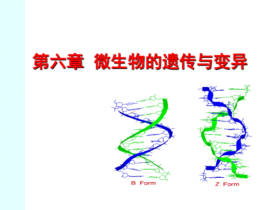 微生物的遗传与变异（1）_第1页