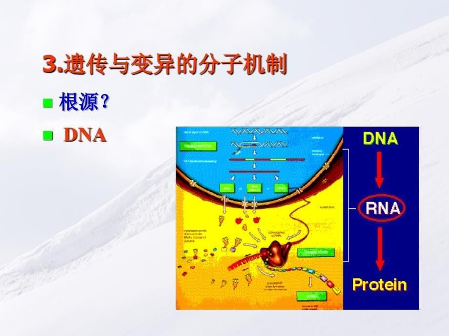 微生物的遗传与变异（1）_第5页