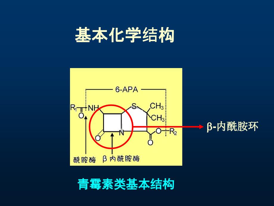 β-内酰胺类抗生素修_第4页