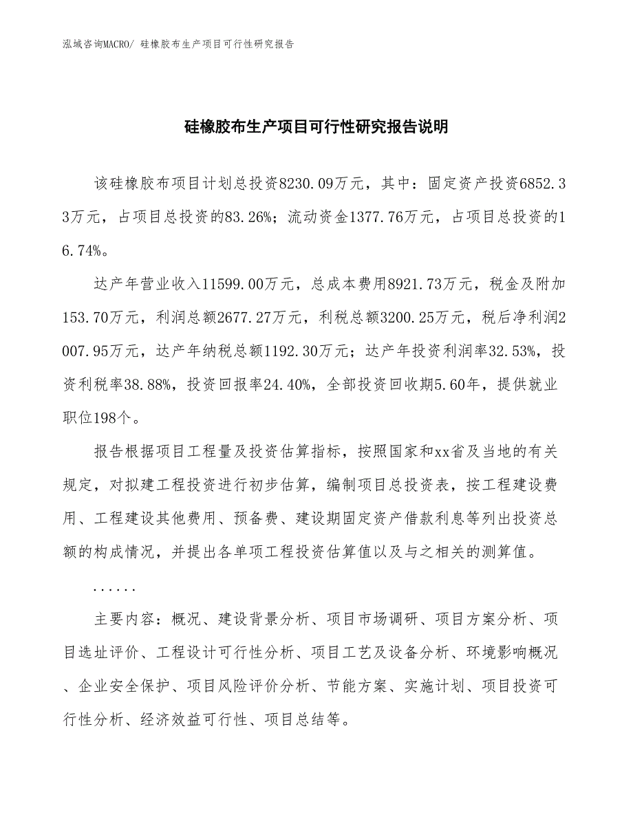 （建设方案）硅橡胶布生产项目可行性研究报告_第2页