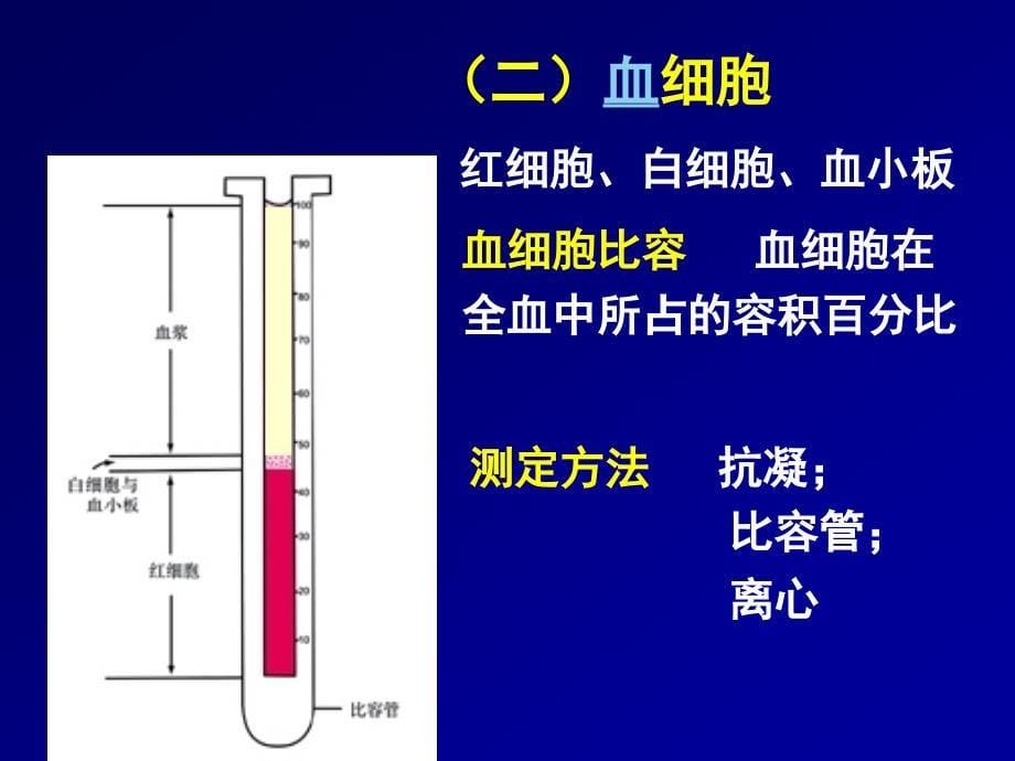 生理学-血液_第5页