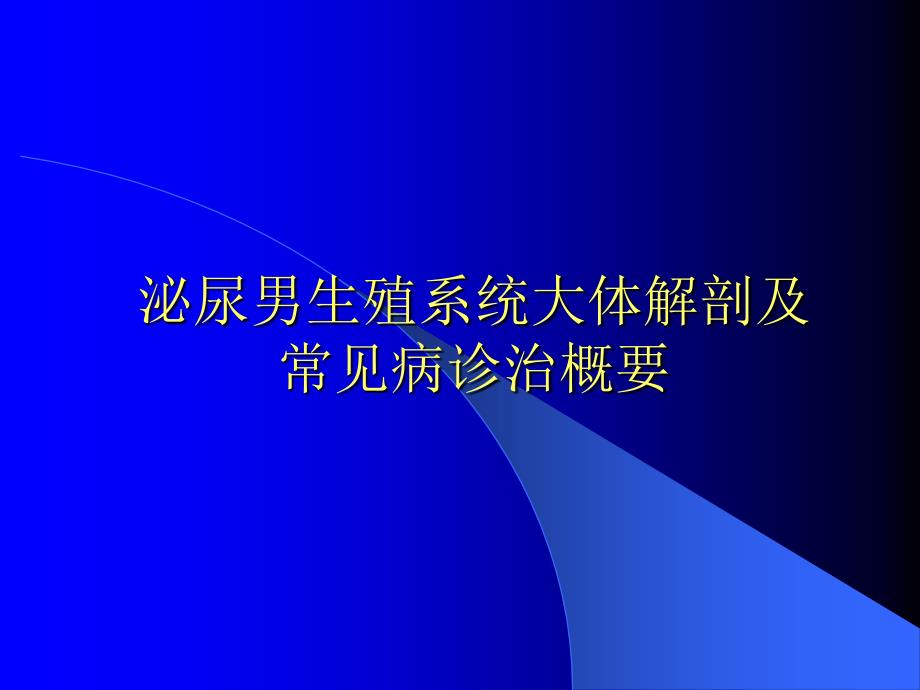 泌尿男生殖系统大体解剖及_第1页