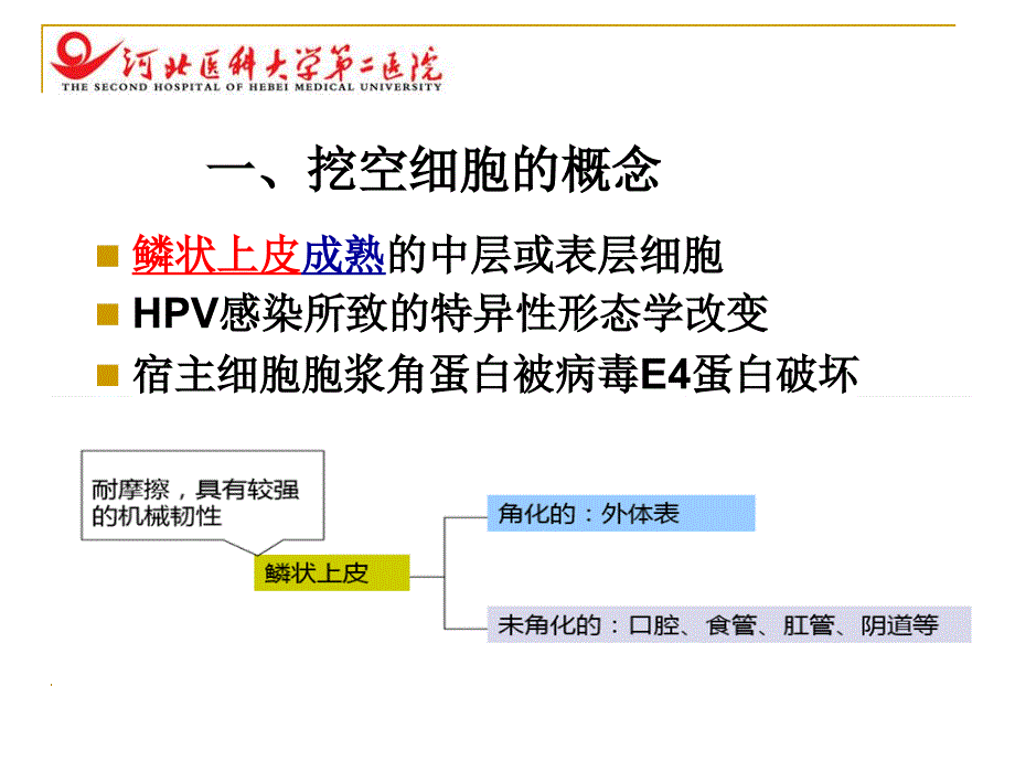 挖空细胞形成的机制及临床意义-左宏玲-妇科_第3页