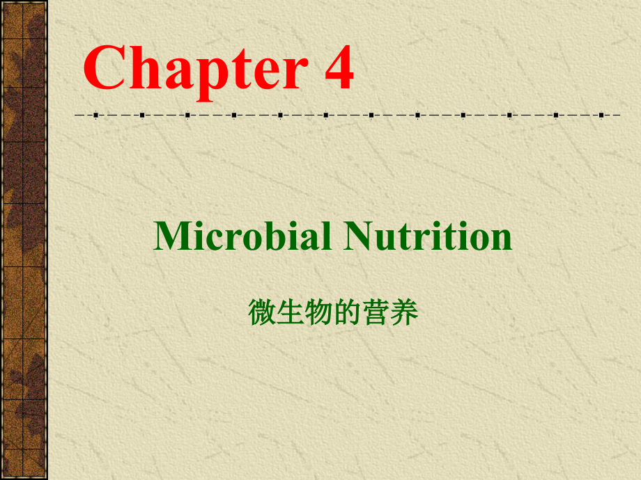 微生物-课件-05微生物的营养和培养基_第3页